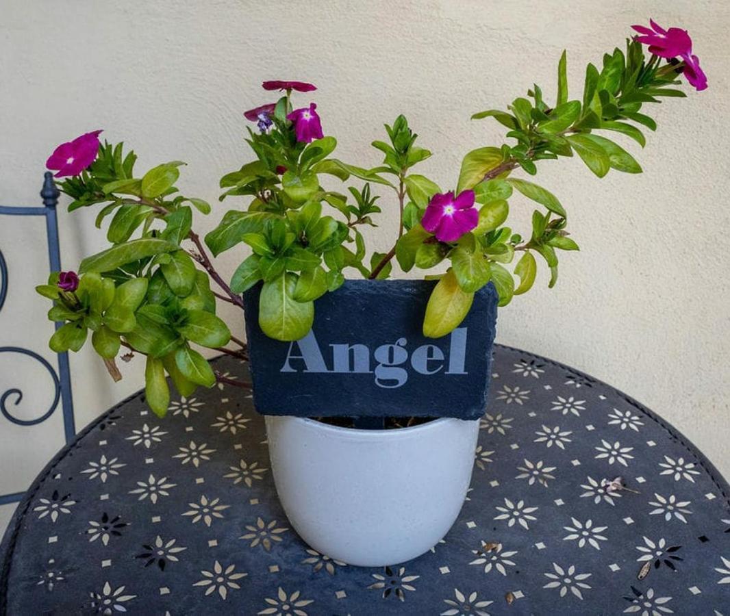 Angel @ Aragon Court Apartment มาร์ซาสคาลา ภายนอก รูปภาพ